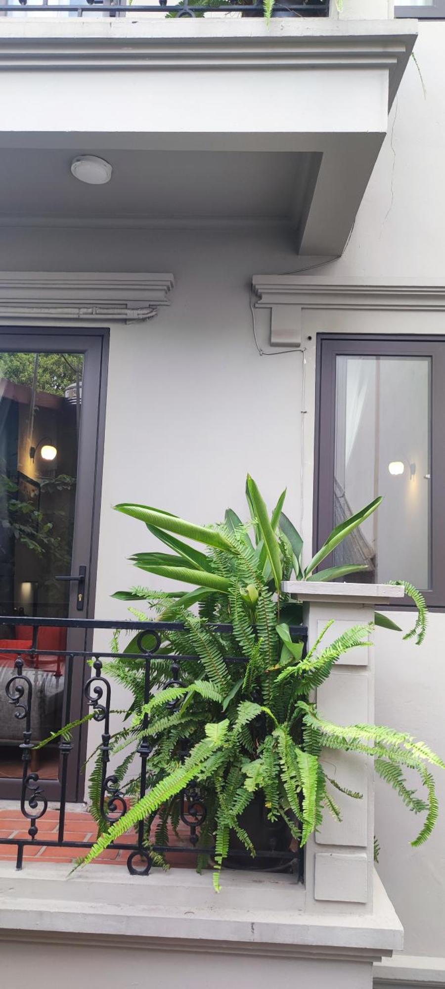 T Home Balcony Homestay Hanoi Kültér fotó